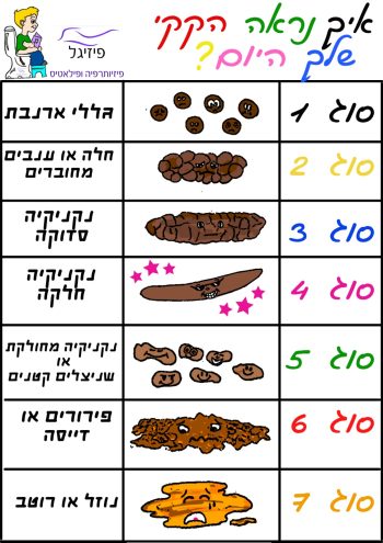 בריסטול עברית אביגל (2).jpeg בריסטול עברית אביגל (2).jpeg